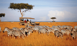   Kenya Safari: Luxury Holiday For Two