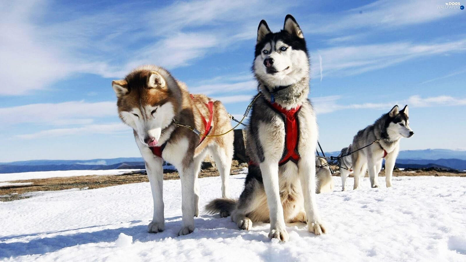   Lapland: Family Holiday + £10,000