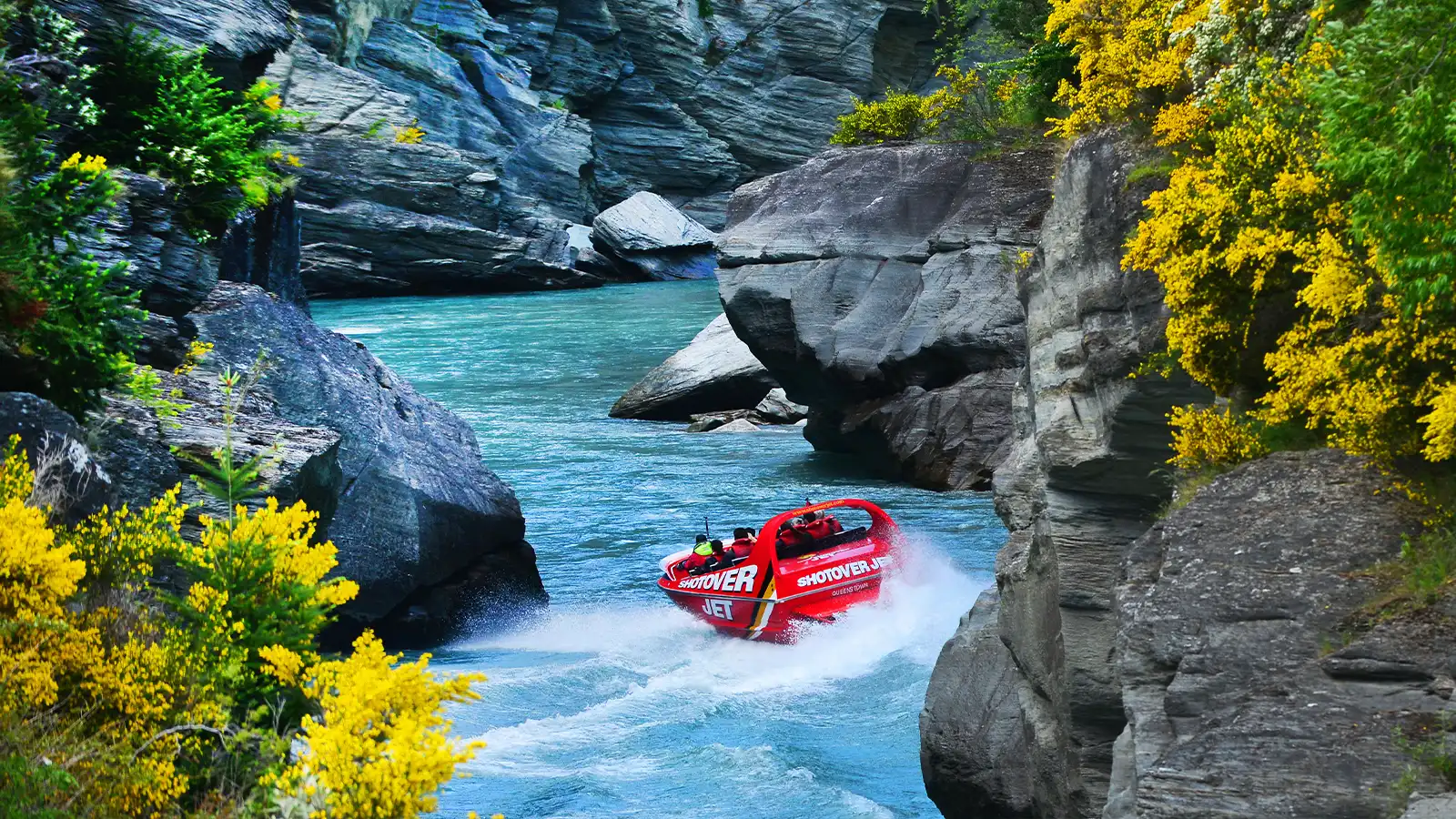   New Zealand: Trip for Two