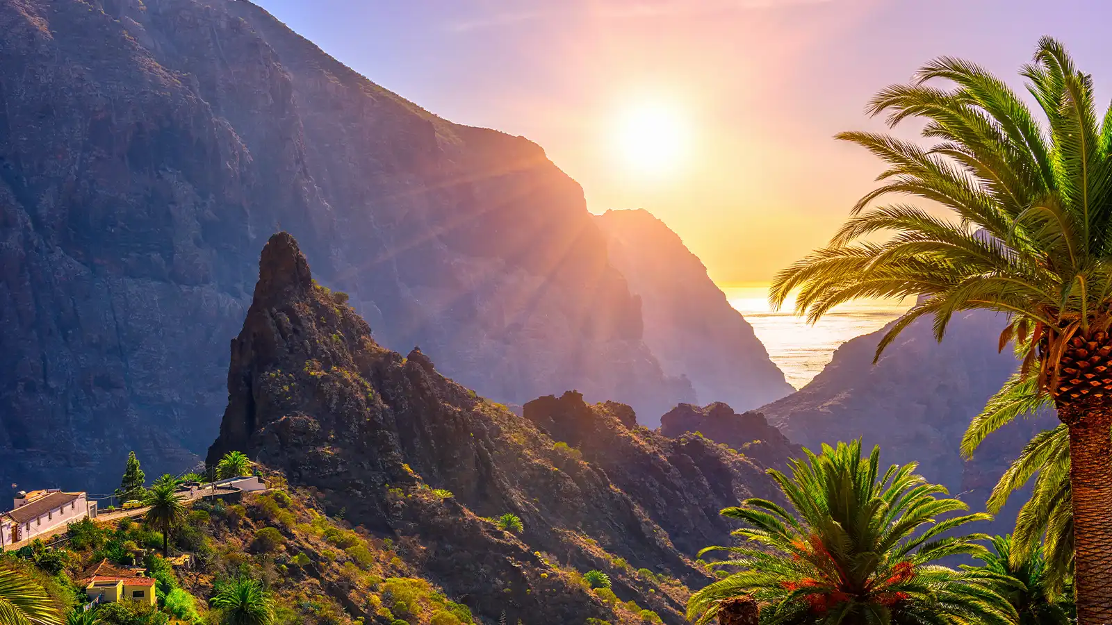 Tenerife: Family Trip Plus £10,000