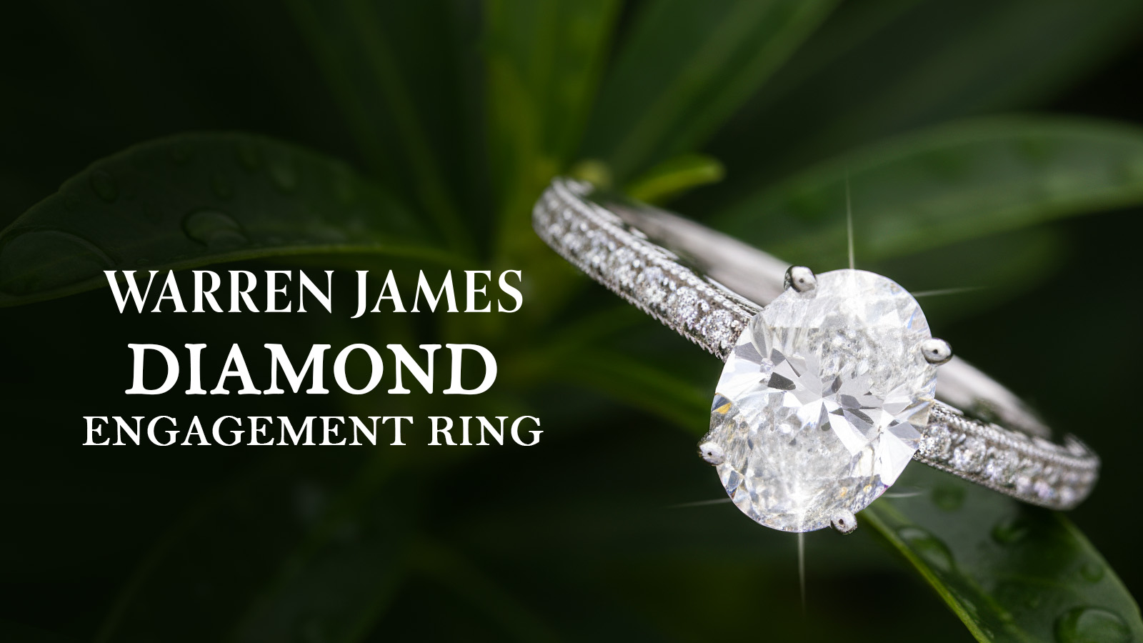   Win this stunning 9ct White Gold Engagement Ring With A 1ct Diamond!