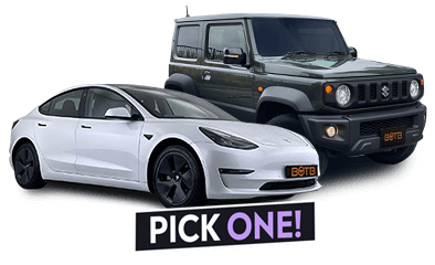 Car: Tesla 3 or Suzuki Jimny?
