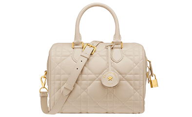   Dior: Groove 25 Bag