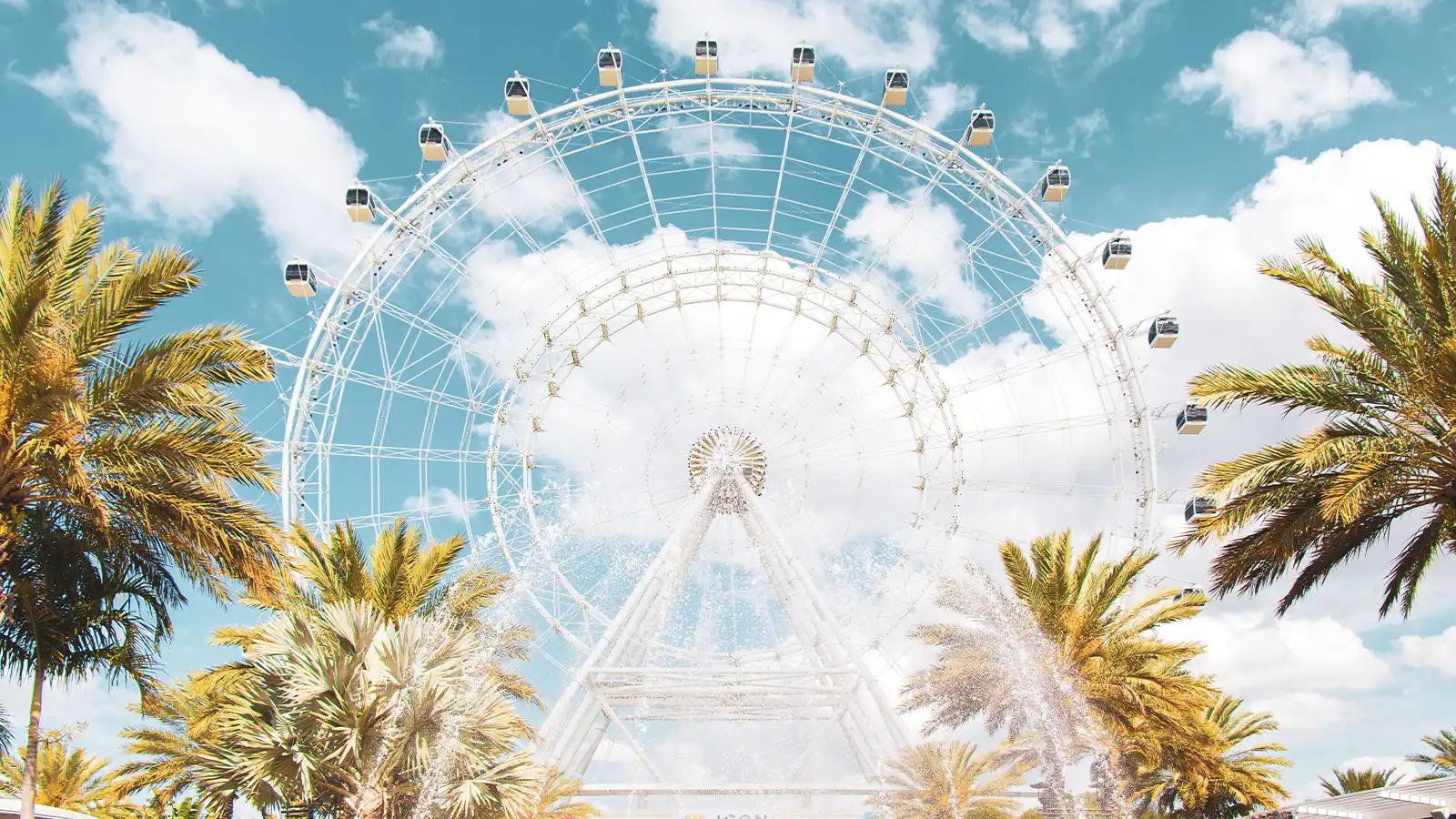   Orlando Florida Holiday: For Four