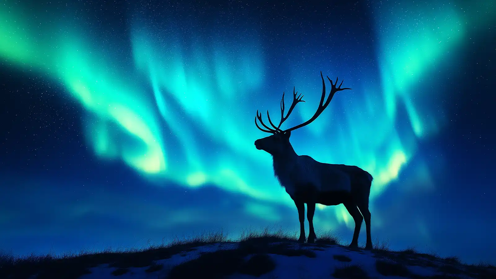   Lapland: Holiday for Four Plus £2,500