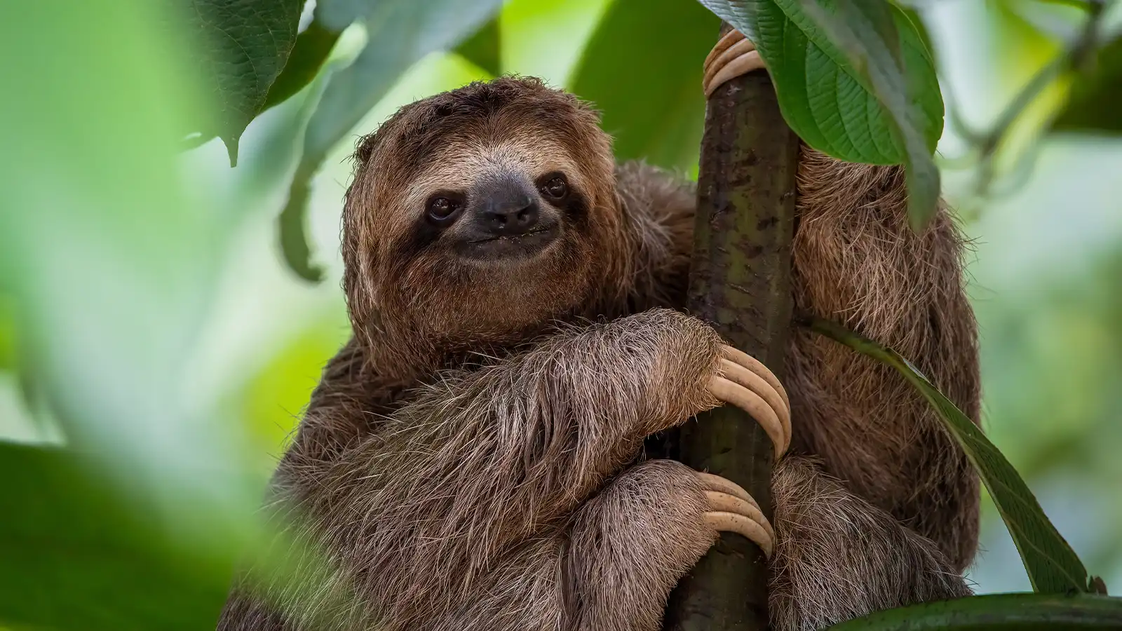   Costa Rica: Holiday