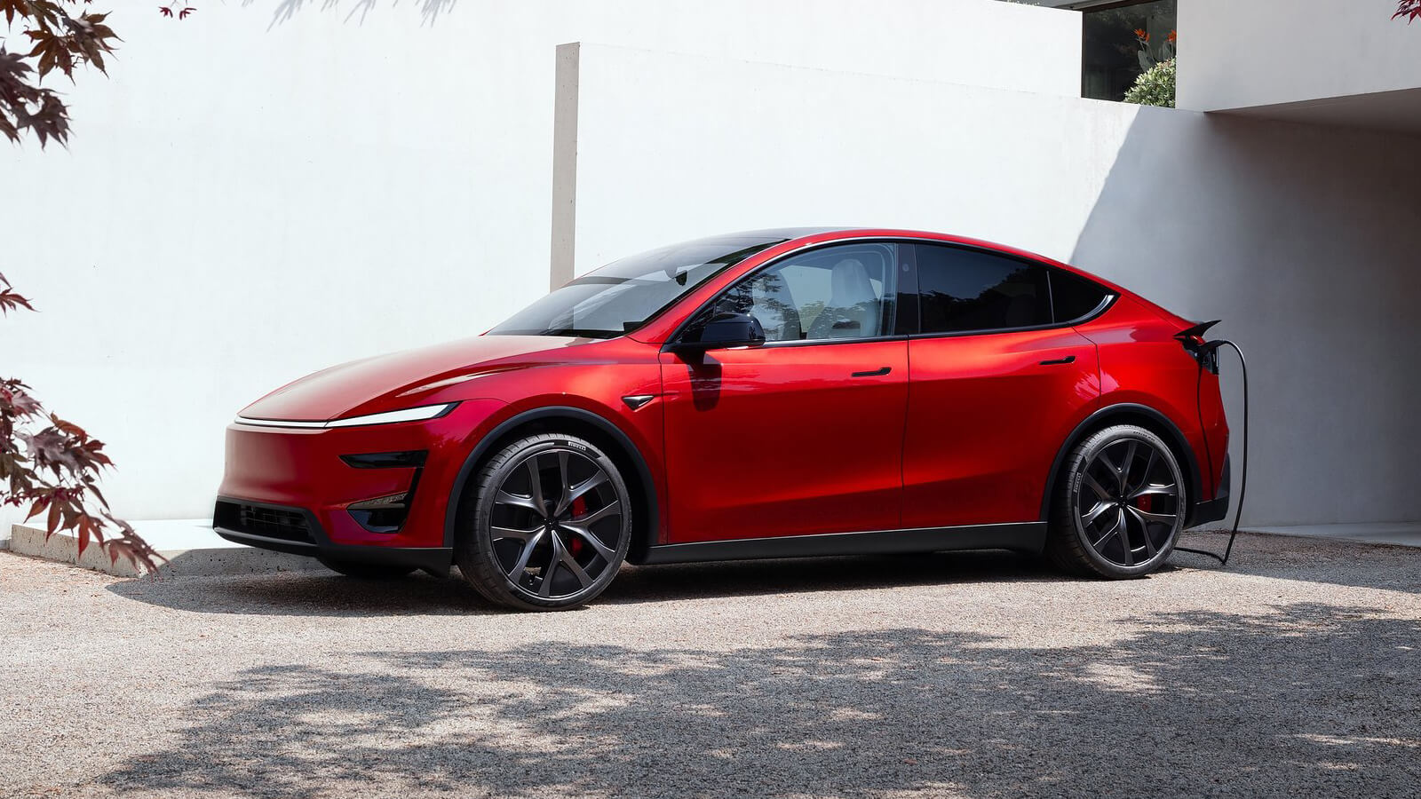  Tesla Model Y Performance