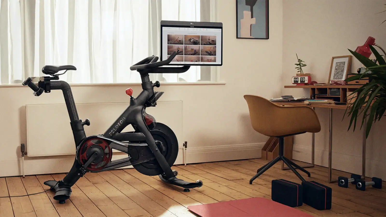 Ultimate: Home Gym
