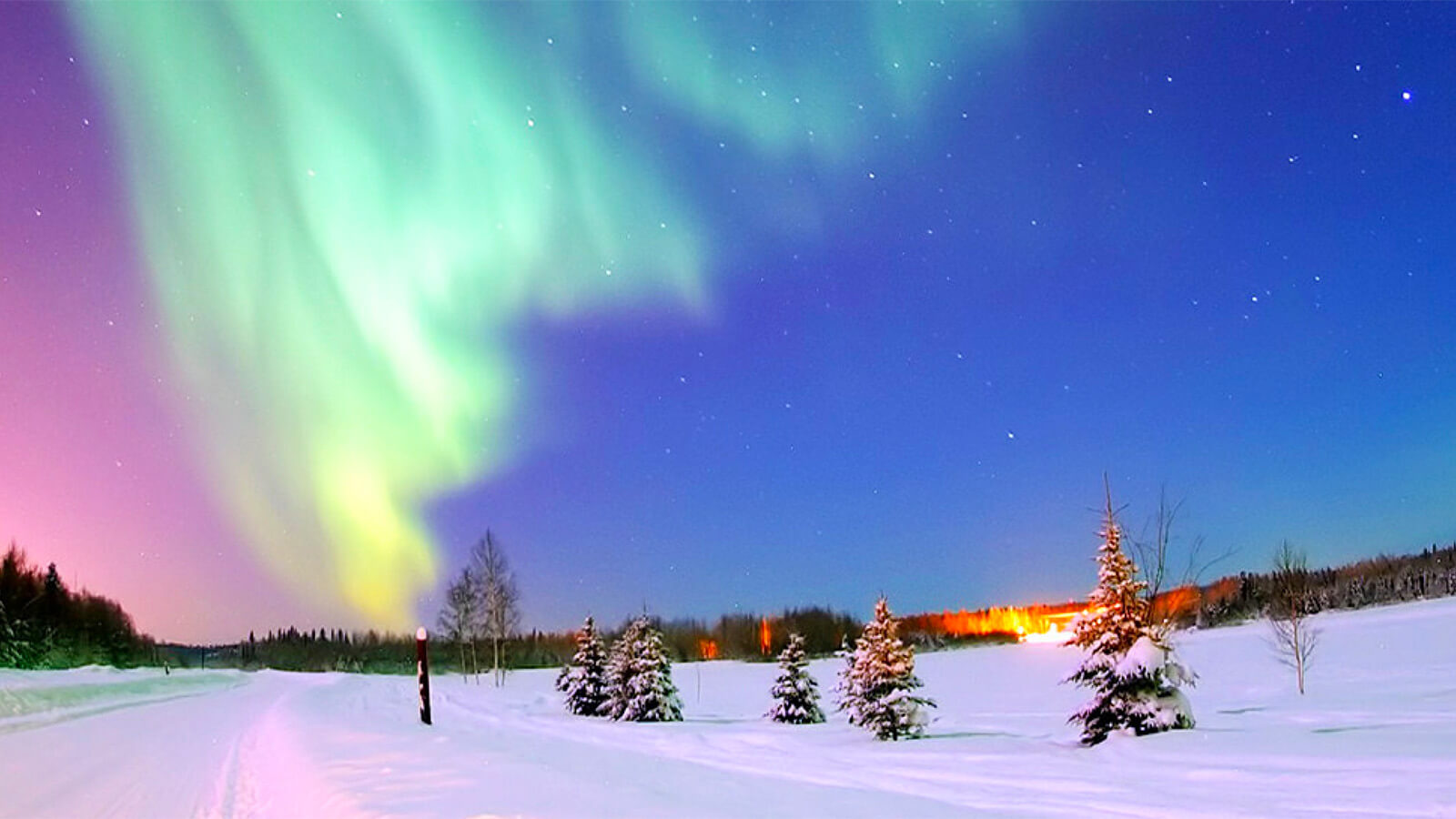 win a holiday to lapland  Lapland: Family Holiday + £10,000