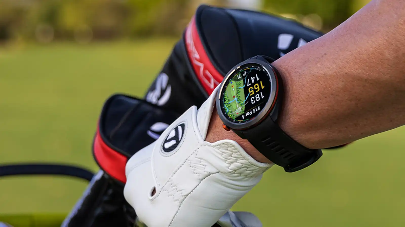   Golf Gear: Bundle + Holiday