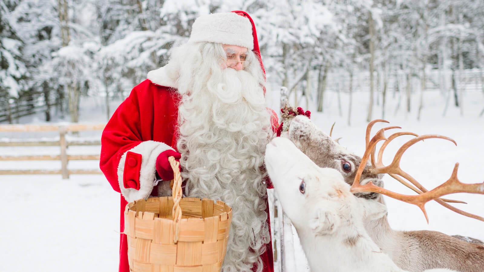last minute lapland holidays  Lapland: Family Holiday + £10,000