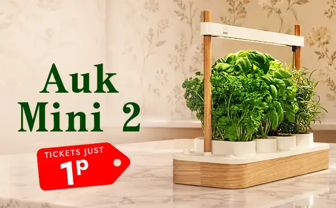 Auk Mini 2