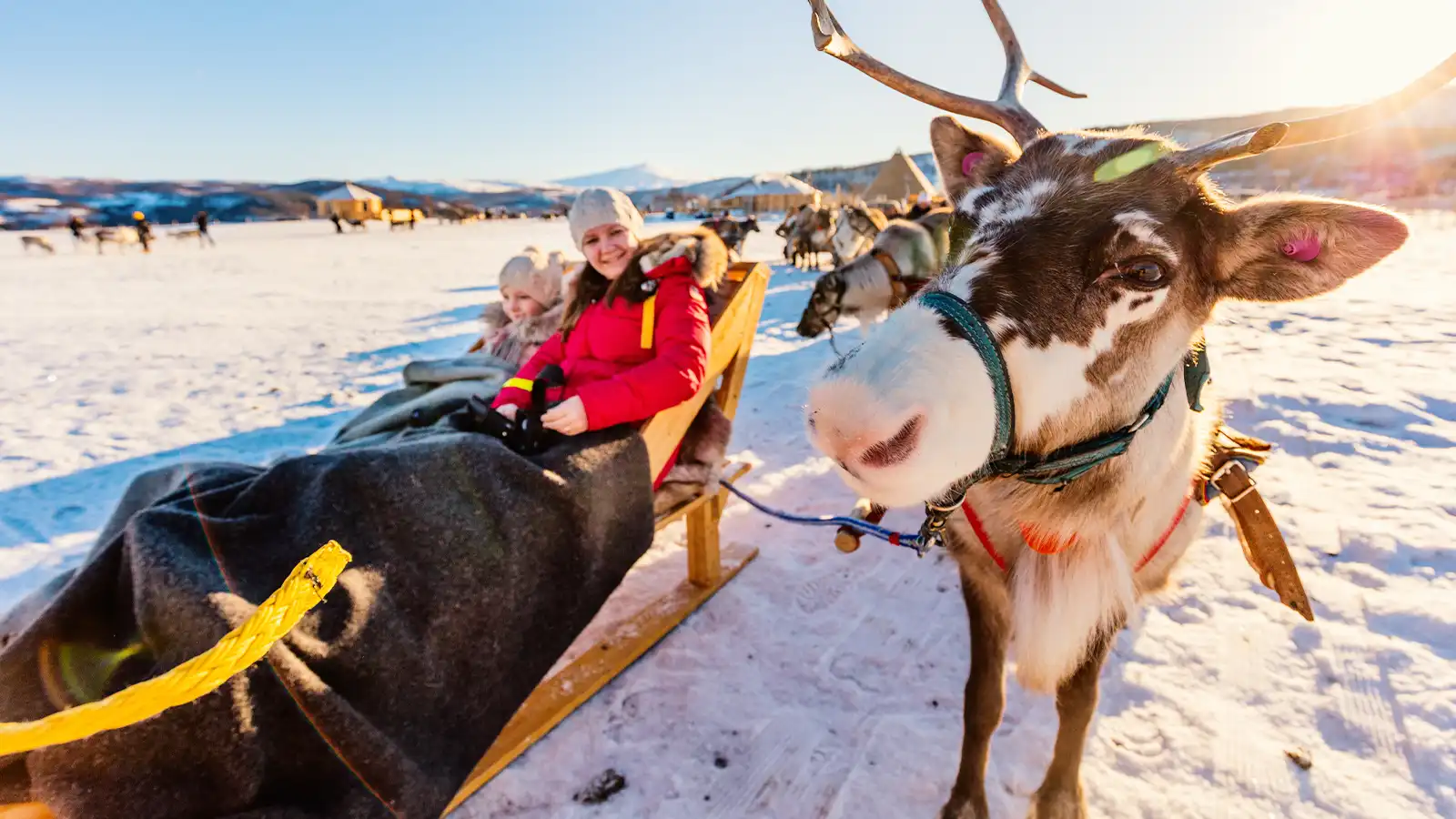   Lapland: Holiday for Four Plus £2,500