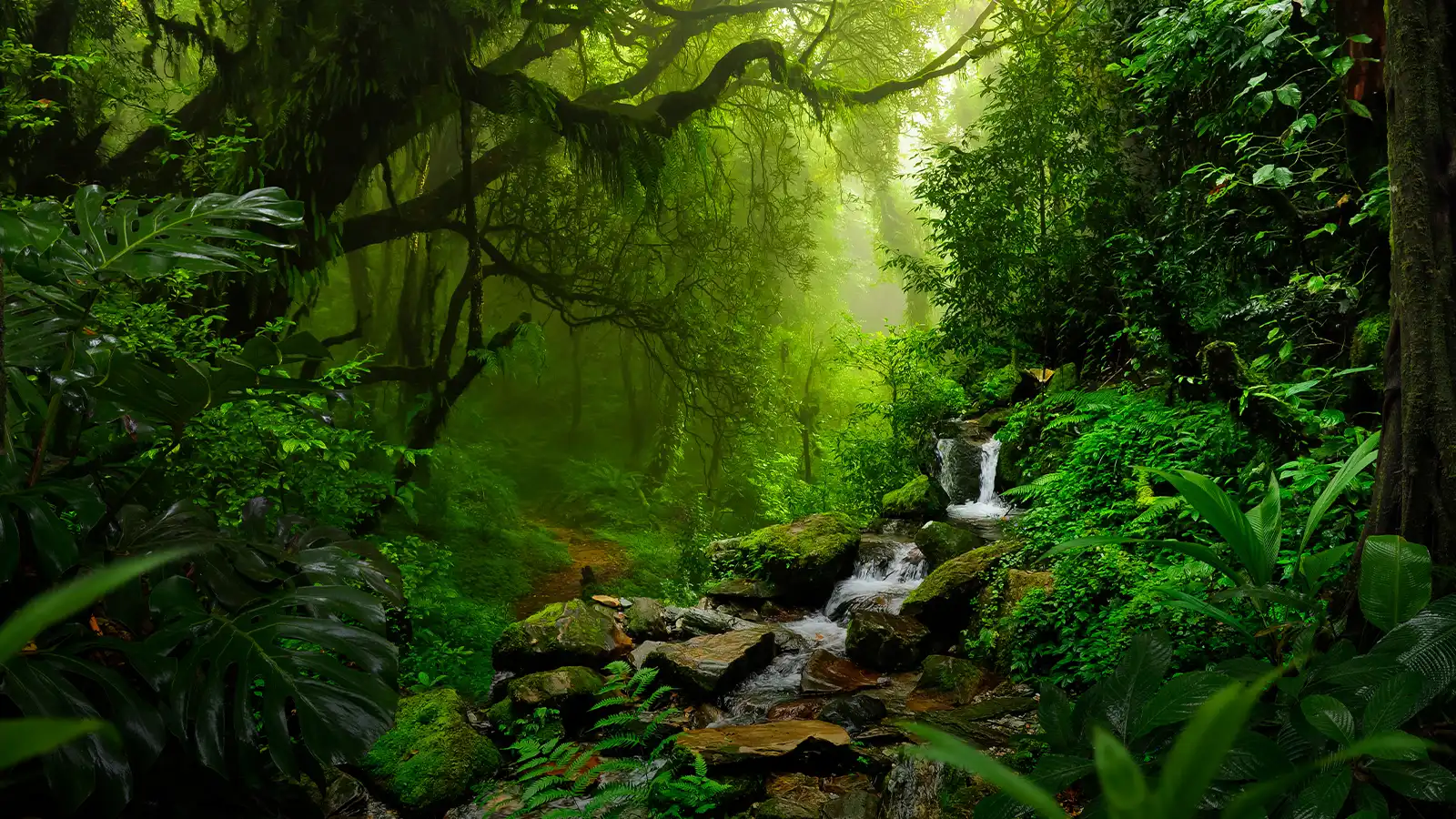  Costa Rica: Holiday