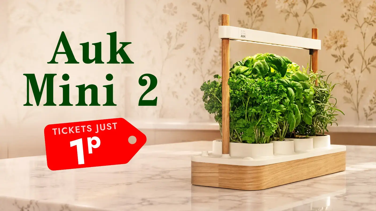   Win An Auk Mini 2