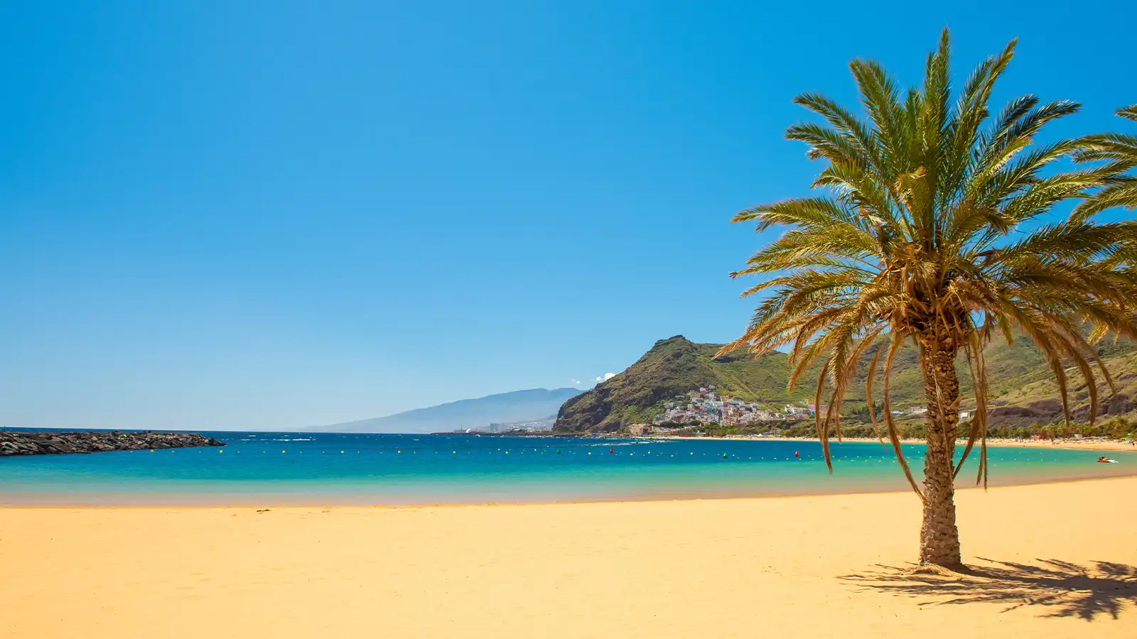 Tenerife: Family Trip Plus £10,000