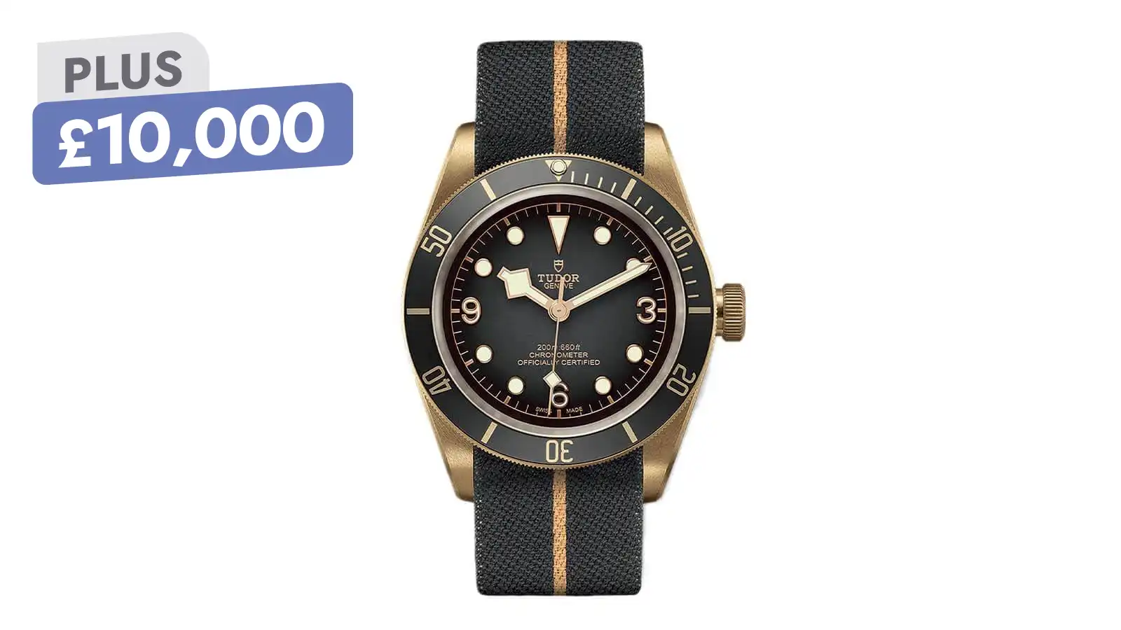  Tudor Black Bay Bronze