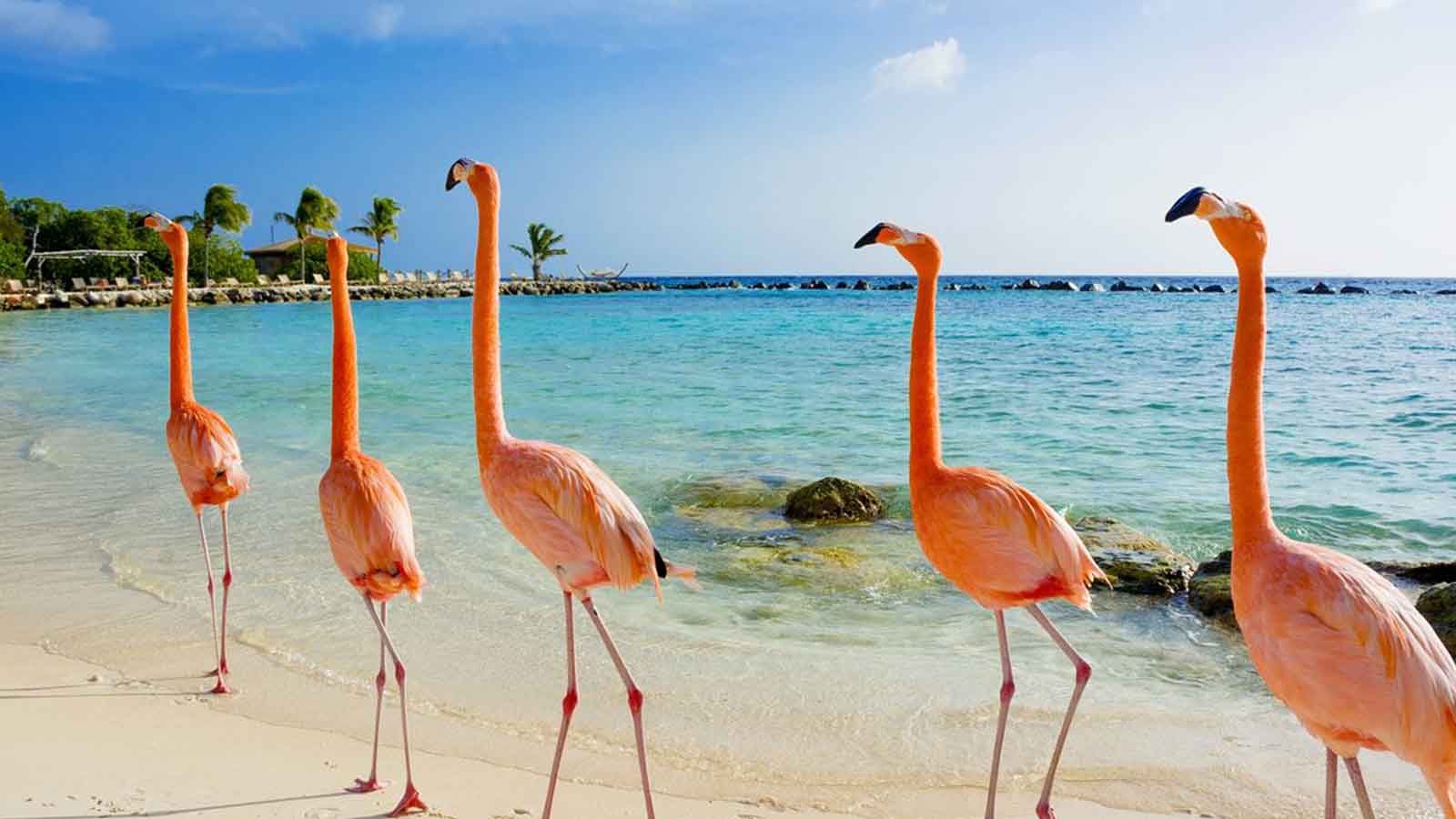   Caribbean: Luxury Cruise + £10,000 