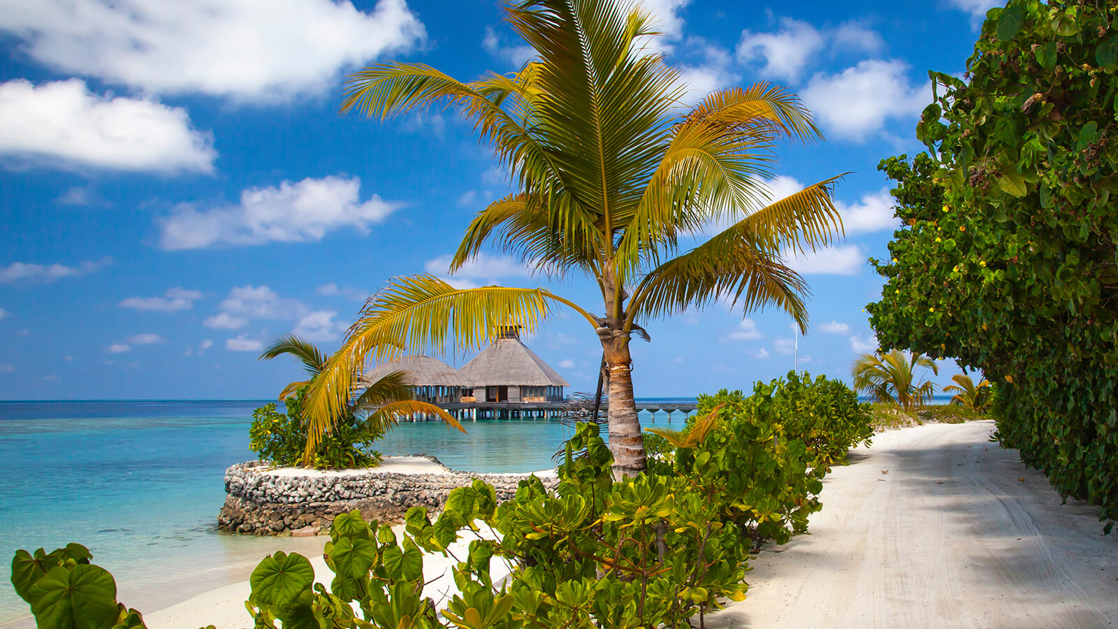  BMW X1 X-Line + Maldives Holiday + £2,000 FREE CASH