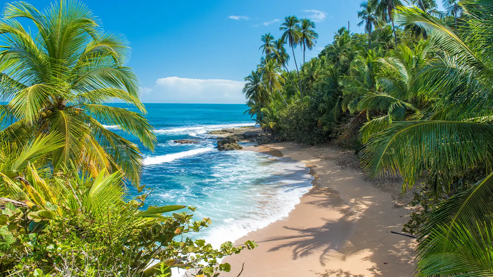   Costa Rica: Holiday