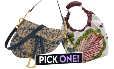   Handbag: Dior or Loewe?