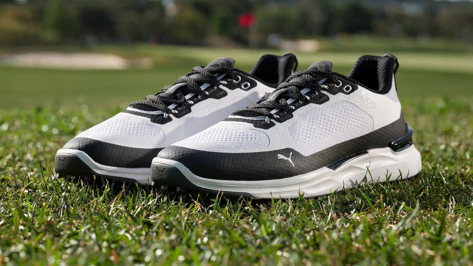   Golf Gear: Bundle + Holiday